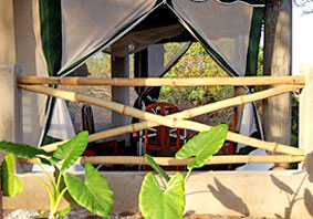 Bamboo at veranda